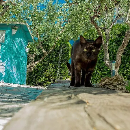 Floridia * Torrevecchia Teatina