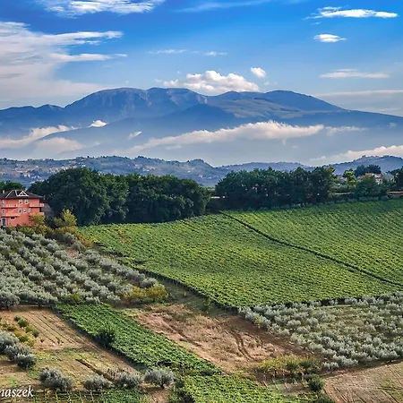 Floridia Bed & Breakfast *