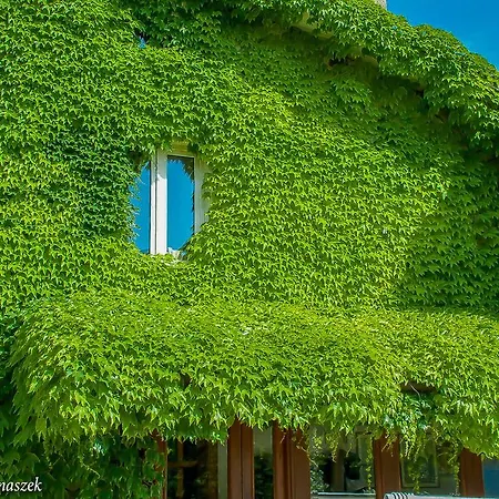 Floridia Bed & Breakfast *