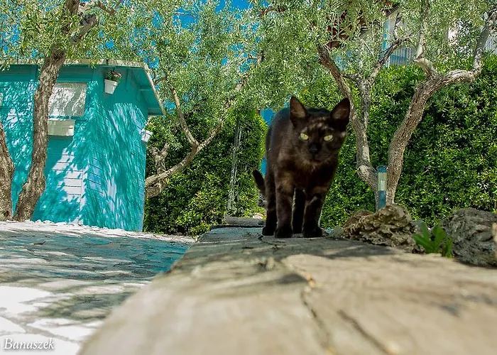 Floridia * Torrevecchia Teatina